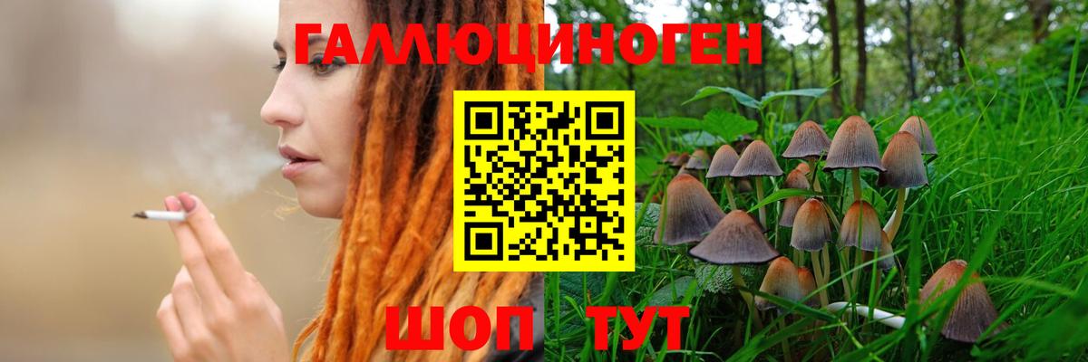 Галлюциногенные грибы Cubensis  закладки  Крымск  Вход с VPN 